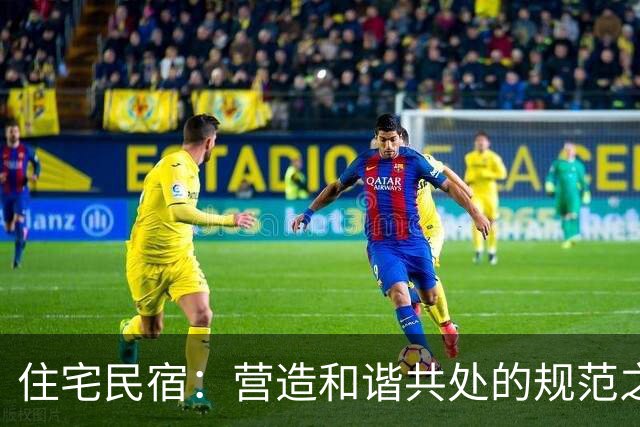 住宅民宿：营造和谐共处的规范之路